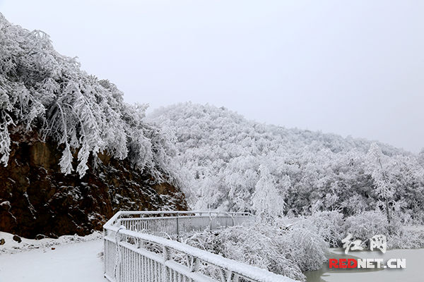 雪峰山雪景震撼来袭!