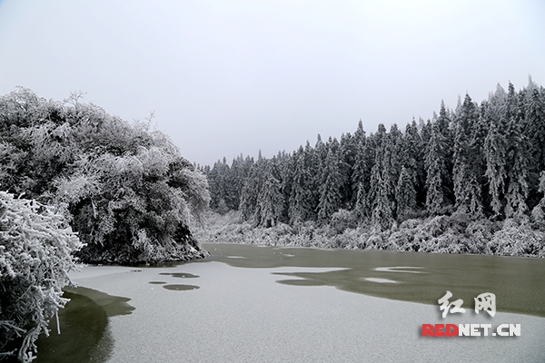 雪峰山雪景震撼来袭!