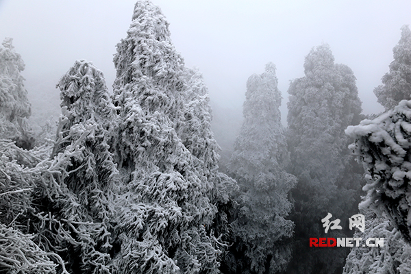 雪峰山雪景震撼来袭!